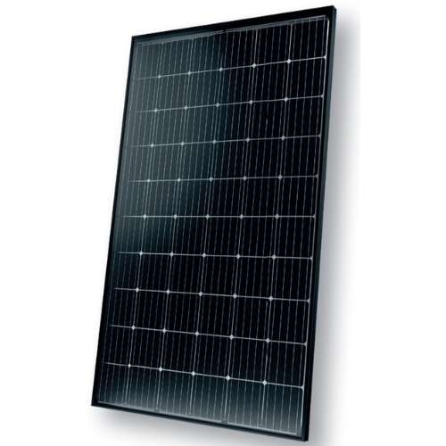 Solarwatt Vision 315 60M Mono